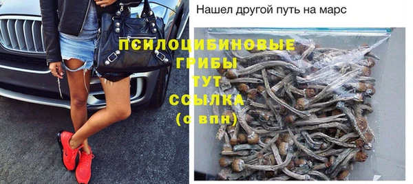 спайс Магас