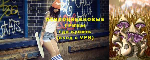 Альфа ПВП Майский