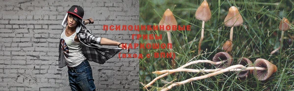 спайс Магас