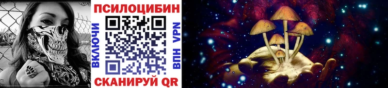 Псилоцибиновые грибы мицелий  наркота  Венёв 